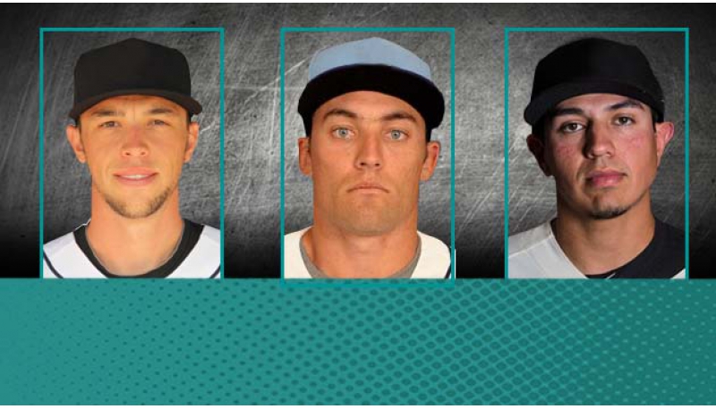 Los Bravos contrataron 3 importados más