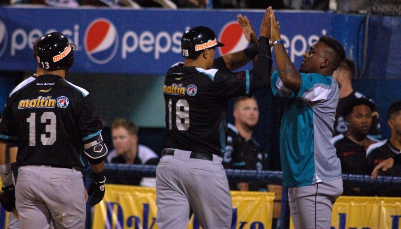 Tigre enjaulado a domicilio